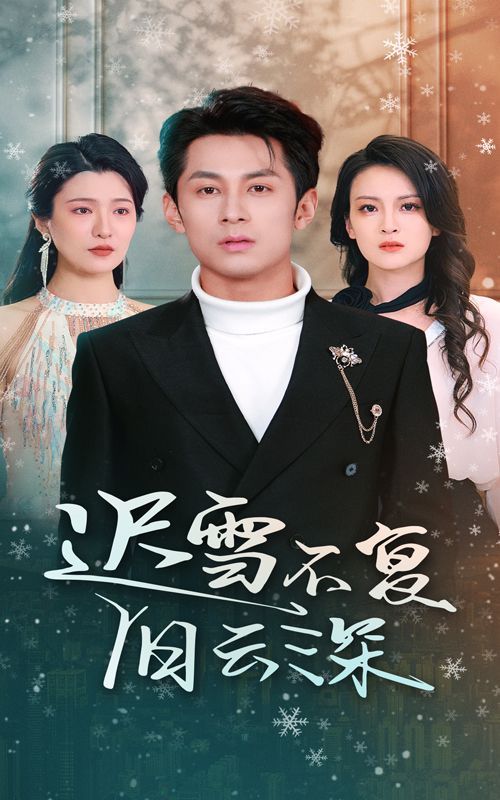 遲雪不復(fù)舊云深（當(dāng)年明月，負(fù)盡深雪）(全集)