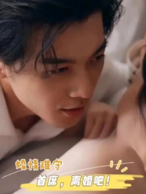 婚情難守：首席，離婚吧(全集)