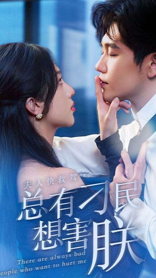 夫人快救駕，總有刁民想害朕(全集)