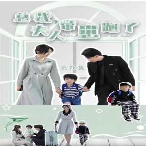 總裁，夫人帶崽跑了(全集)