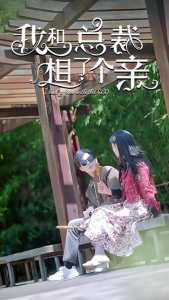 我和總裁相了個親(全集)