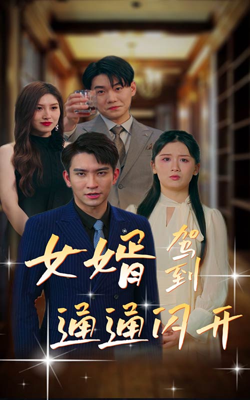 女婿駕到，通通閃開(全集)