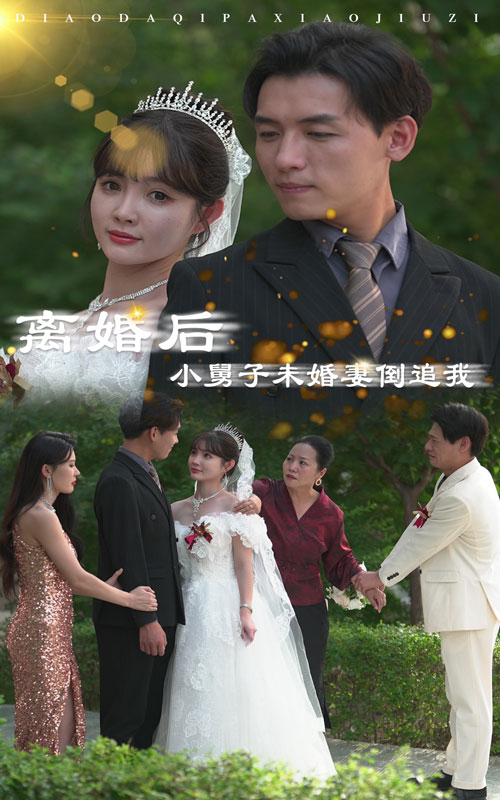 離婚后，小舅子未婚妻倒追我(全集)