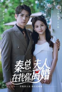 秦總，夫人在找你離婚(全集)