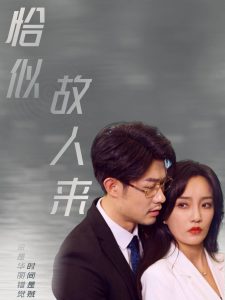 恰似故人來(lái)(全集)