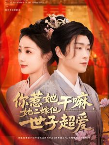 你惹她干嘛，她二嫁但世子超愛(全集)