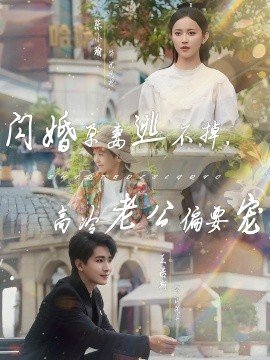 閃婚孕妻逃不掉，高冷老公偏要寵(全集)