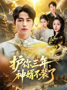 護(hù)你三年，神婿不裝了(全集)