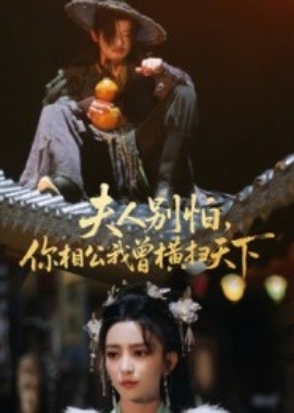 夫人別怕，你相公我曾橫掃天下(全集)