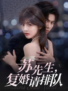蘇先生，復(fù)婚請排隊(全集)